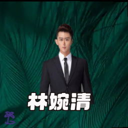 林婉清